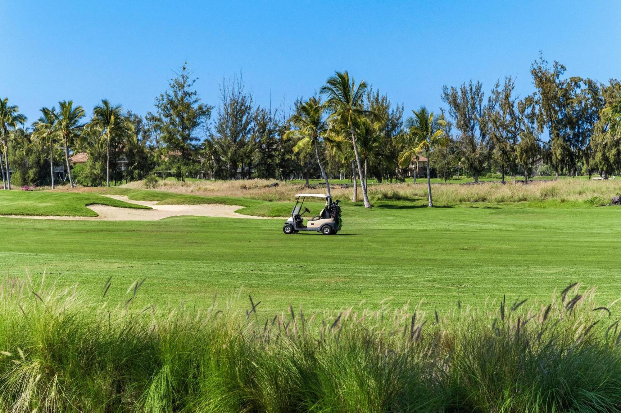 Waikoloa Beach Villas O2 Eksteriør billede